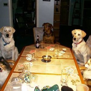 Meet your Posher, Jeannie